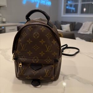 Louis Vuitton Palm Springs Mini Backpack